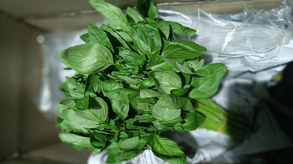 Фото: Россельхознадзор