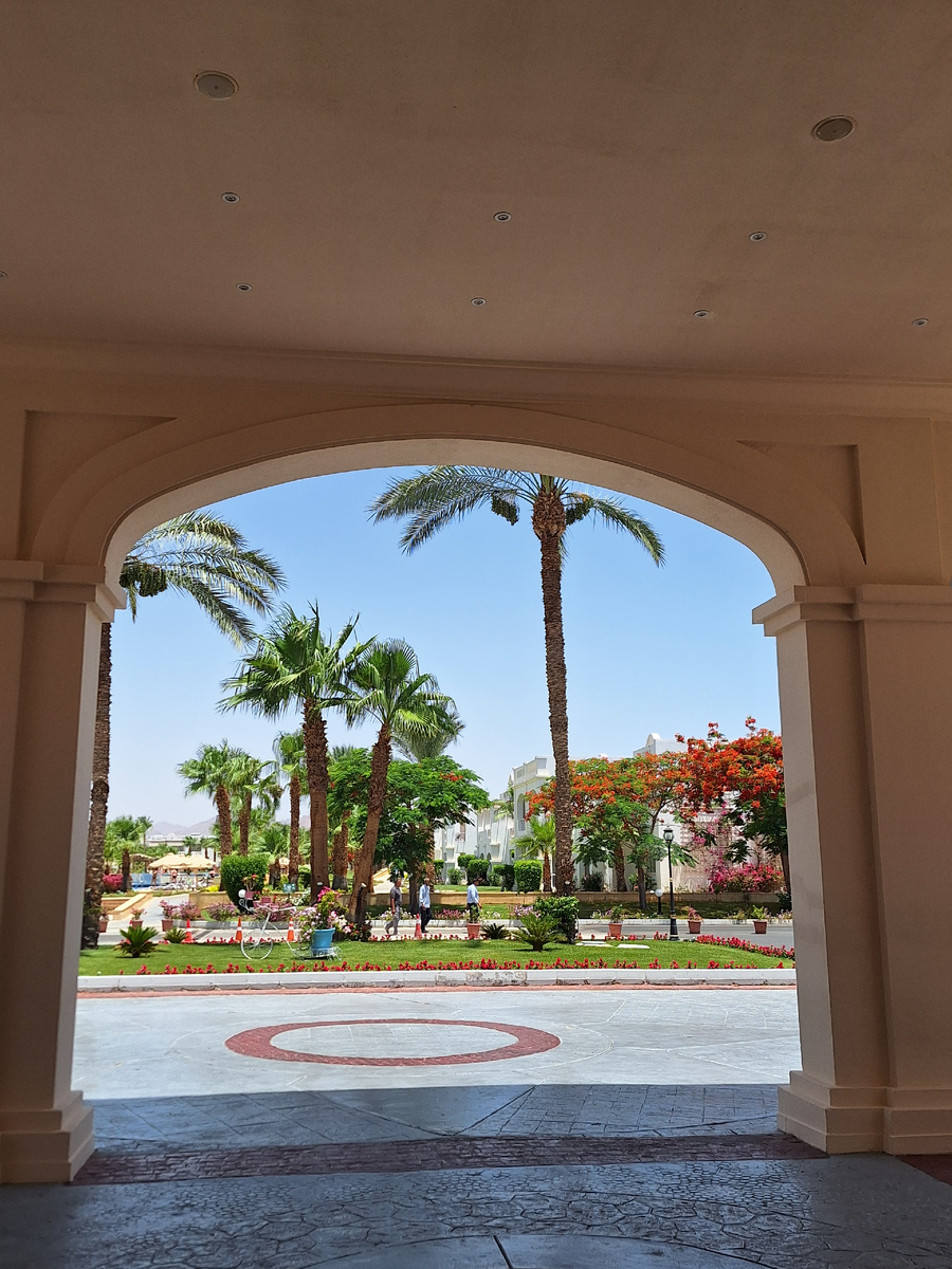 Фото - собственность автора канала.