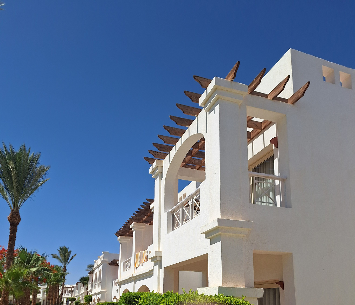 Фото - собственность автора канала.