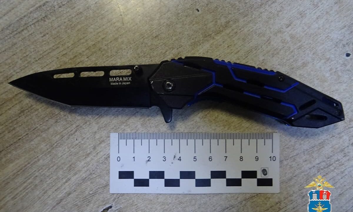    Фото пресс-службы УТ МВД России по СКФО