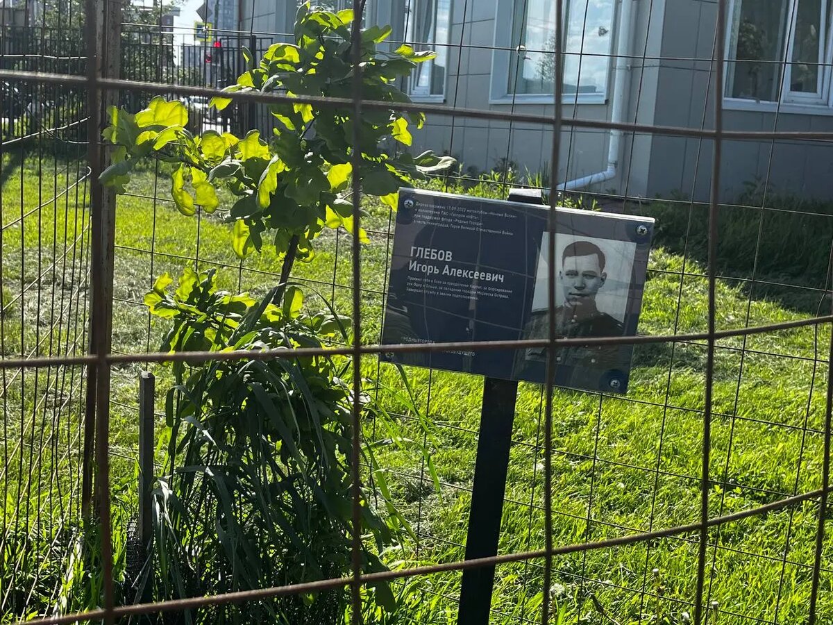    Аллея славы в парке Оккервиль. Фото: читатель Мойки78