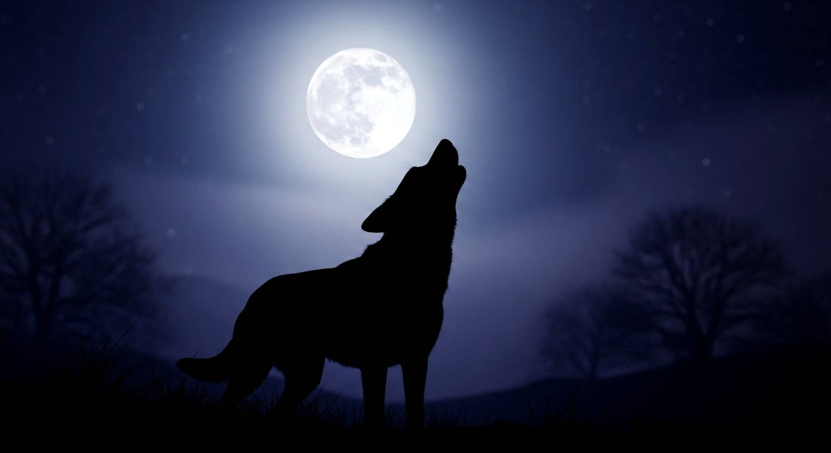 Что значит, если собака воет по ночам: глубокий разбор народных примет и научных объяснений 