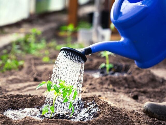    Фото: 123RF/gar1984