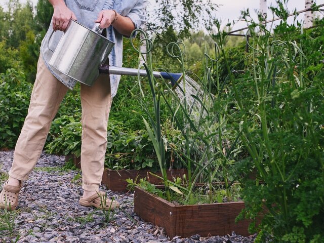    Фото: 123RF/mashiki