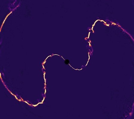    Черная дыра, на мгновение превращенная в пульсар после поглощения звезды