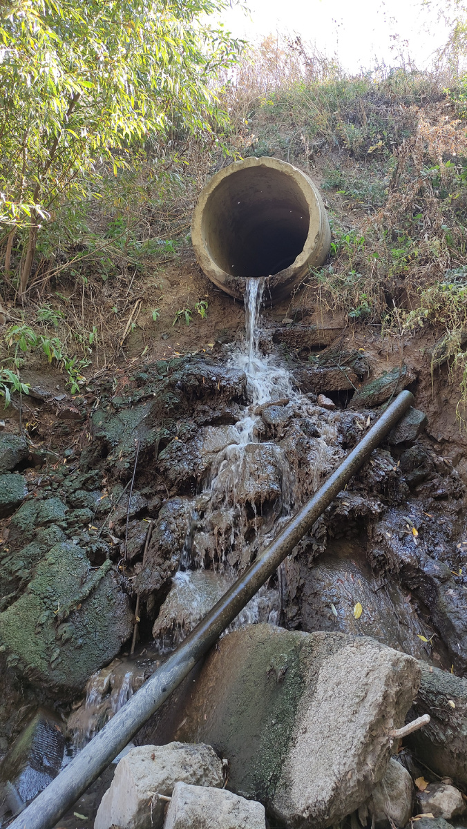 Первый кандидат на родник. 