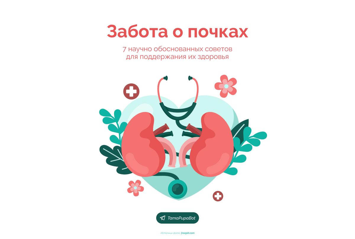 больше фактов про тело человека ищи в телеграм тамагочи TamaPupaBot