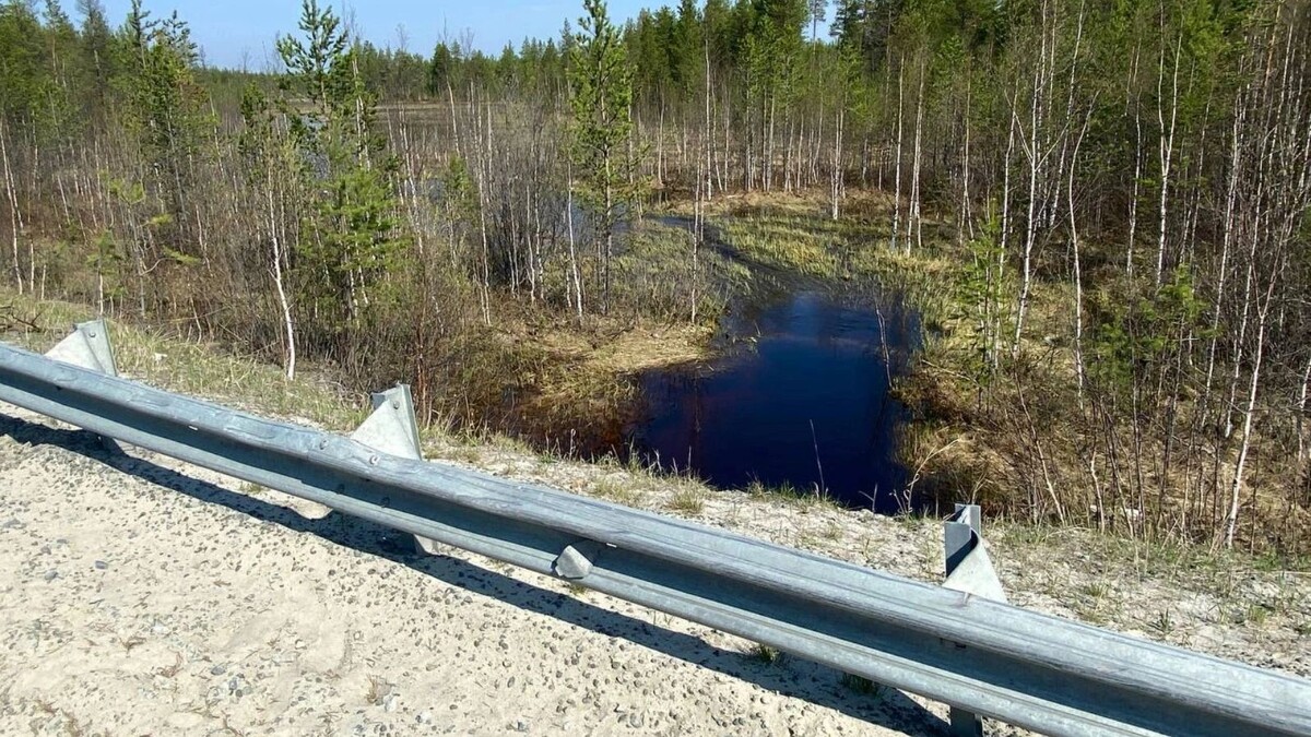    Фото: Ярослав Кудренок / «Ямал-Медиа»