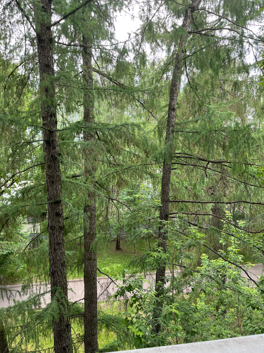 Немного релакса в ленте) 