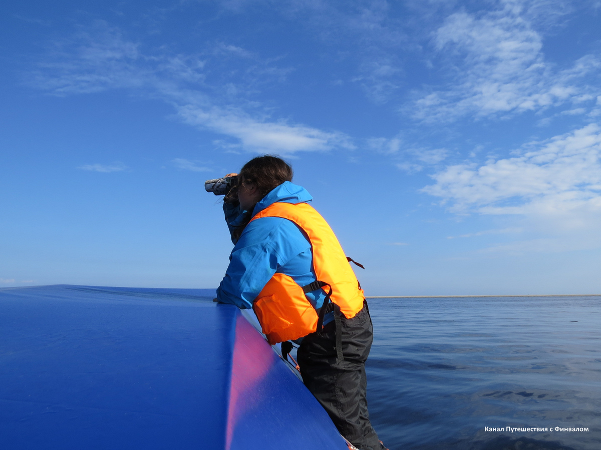 Там кто-то плывет!