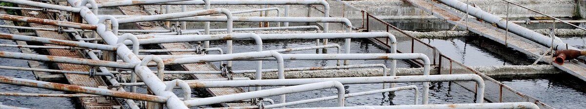    Фото: Сергей Кудрин