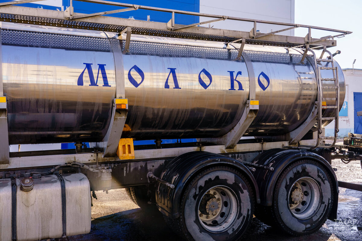 Фото: © Салават Камалетдинов / «Татар-информ»