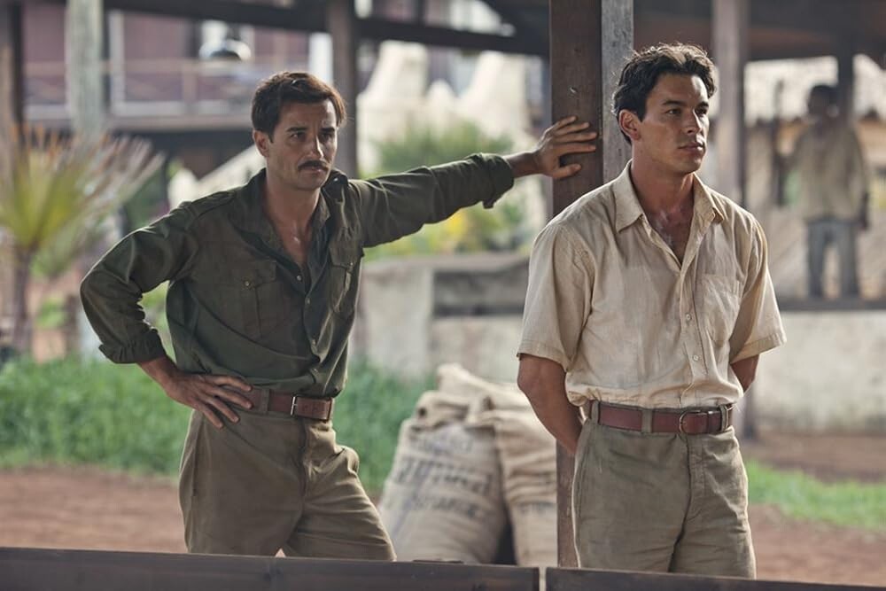 "Пальмы в снегу"