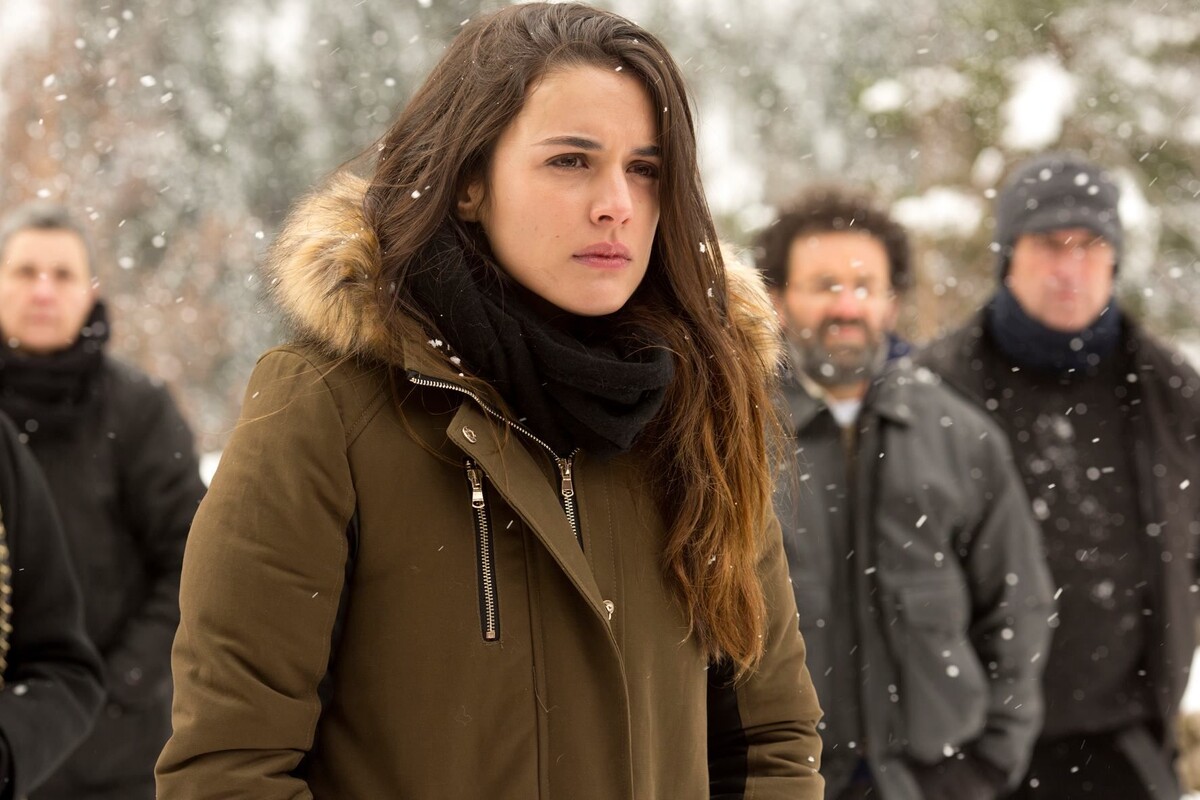 "Пальмы в снегу"