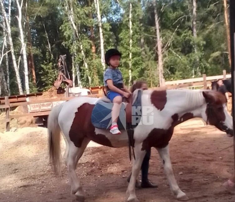 Выяснилось, что с мальчиком в школе обращались очень плохо. Фото: КП-Красноярск