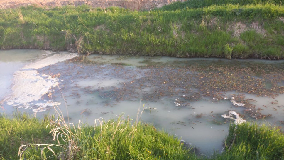 Фото: соцсети