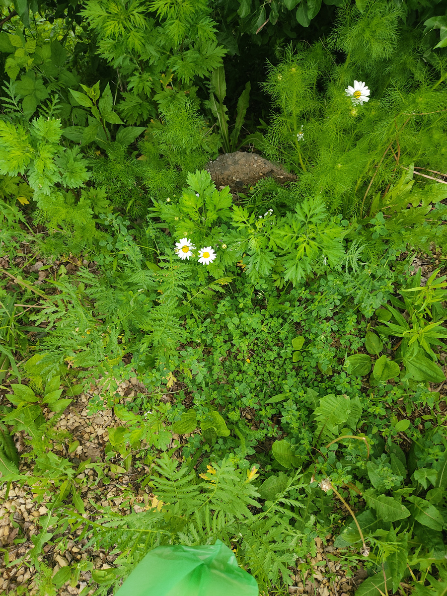 Личный архив