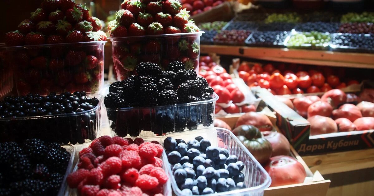 Фото: РИА Новости / Виталий Белоусов