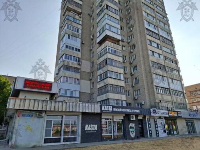 Источник фото: sledcom.ru