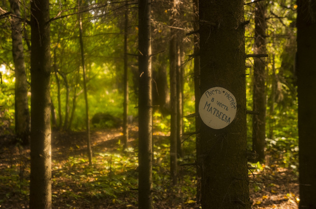    Подвиг длиной в 25 лет: как слепой ветеран создал уникальный живой мемориал в Кировской области