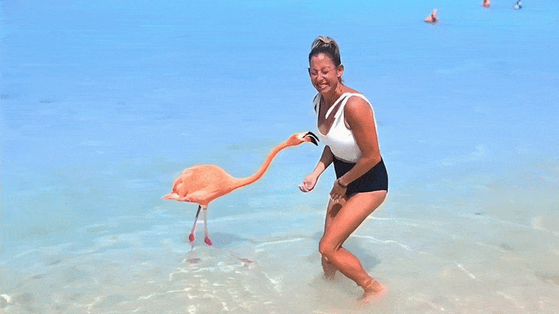 Нравится Формат? Поддержи Канал Лайком и напиши какой эпизод понравился больше всех Другие наши статьи: