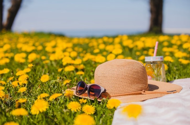    Фото: freepik.com/free-photo Александра Горохова