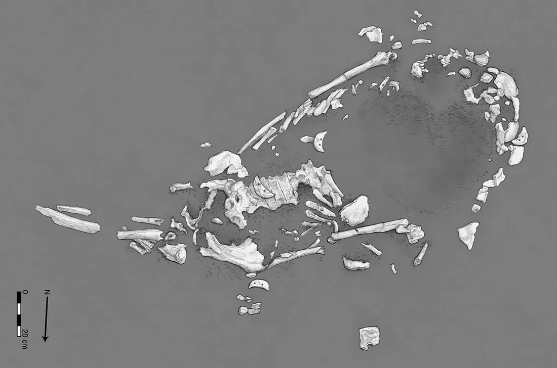 Рисунок захоронения №10 in situ во время раскопок