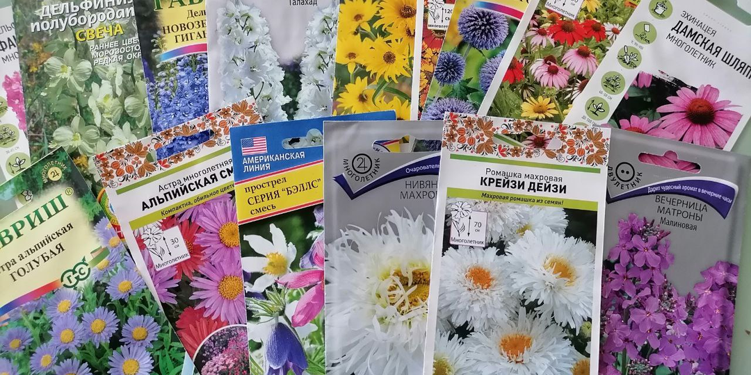 Понравилось сажать в июне многолетние цветы. Посева ждут 15 пакетов