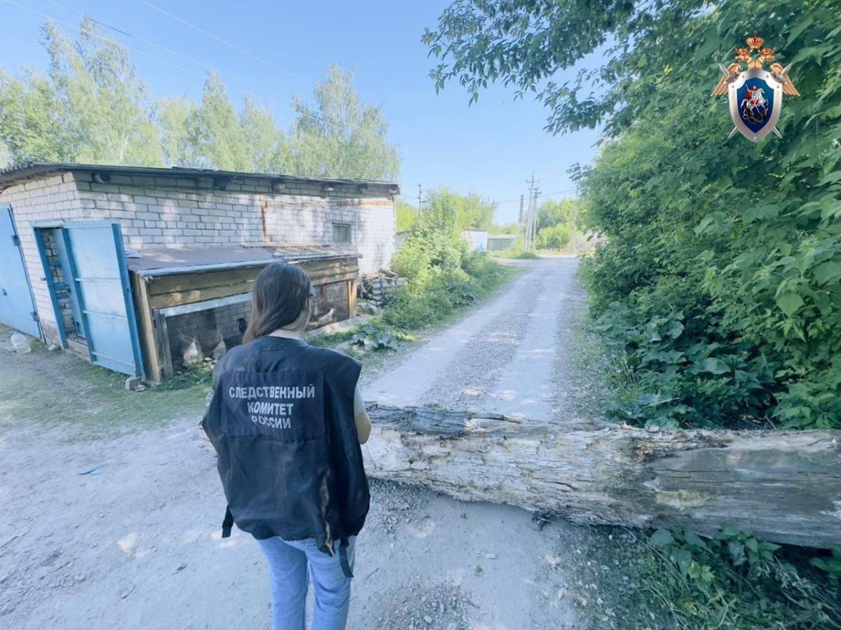    Инцидент произошел еще в конце мая