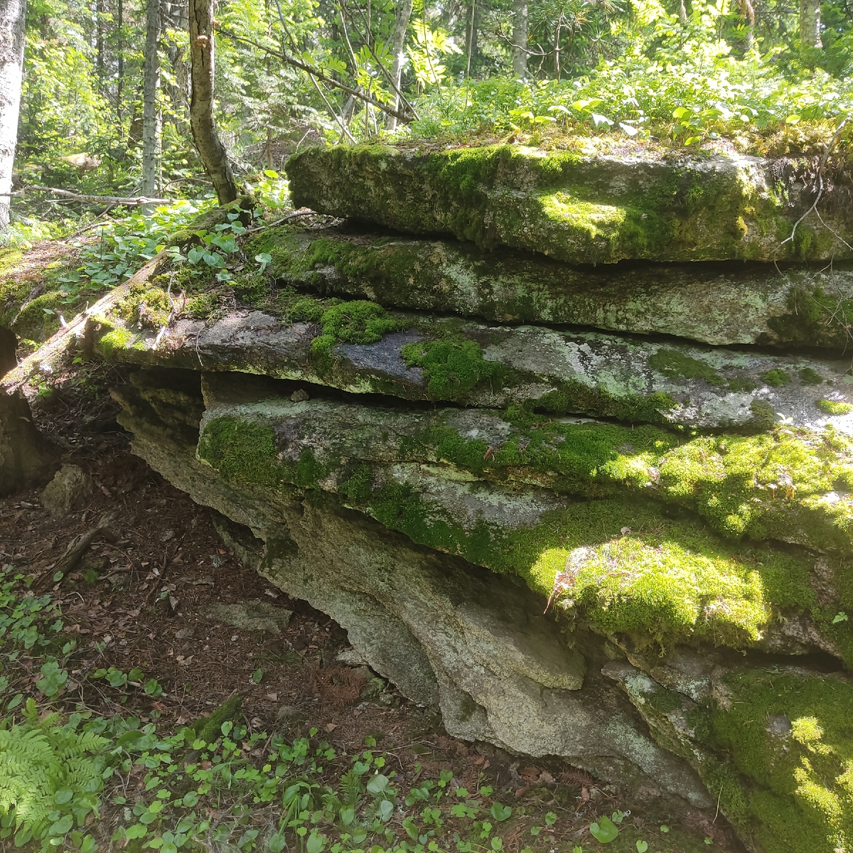 Камень у дороги.