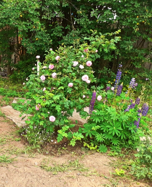 В прошлом году