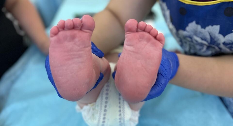    Пресс-служба МОДКТОБ (Кукушкина Елизавета)