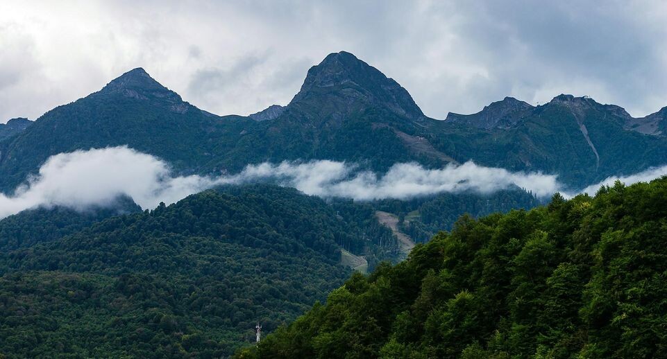    Roman Denisov / www.globallookpress.com