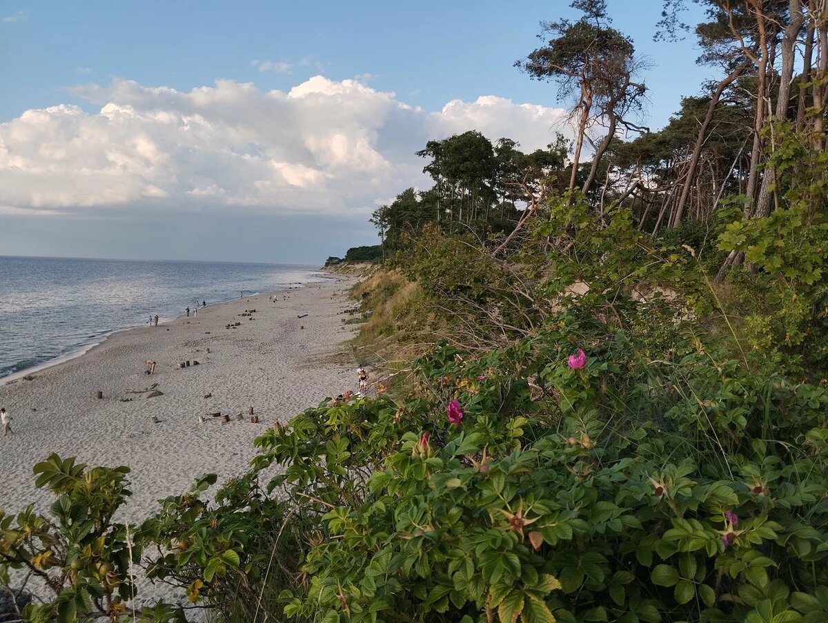 Пляж в посёлке Заостровье