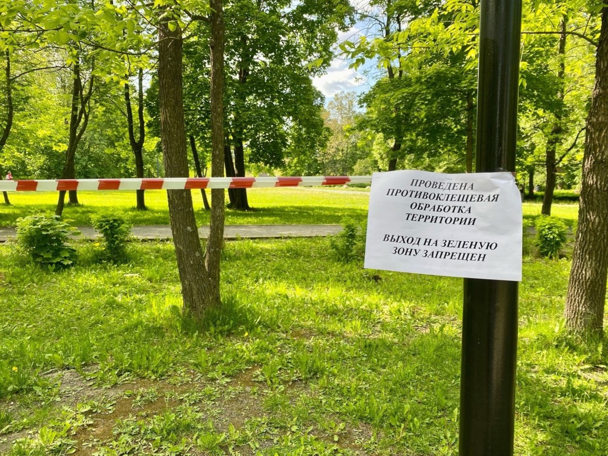    Стало известно, какие территории Петрозаводска обработают от клещей. Фото: Администрация Петрозаводского городского округа / ВК