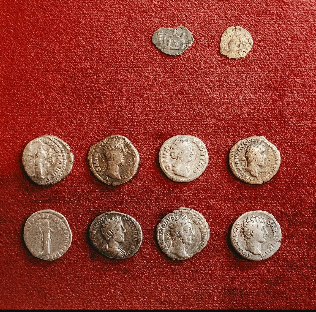 Фото: Max Zvonarev / Shutterstock / Fotodom  