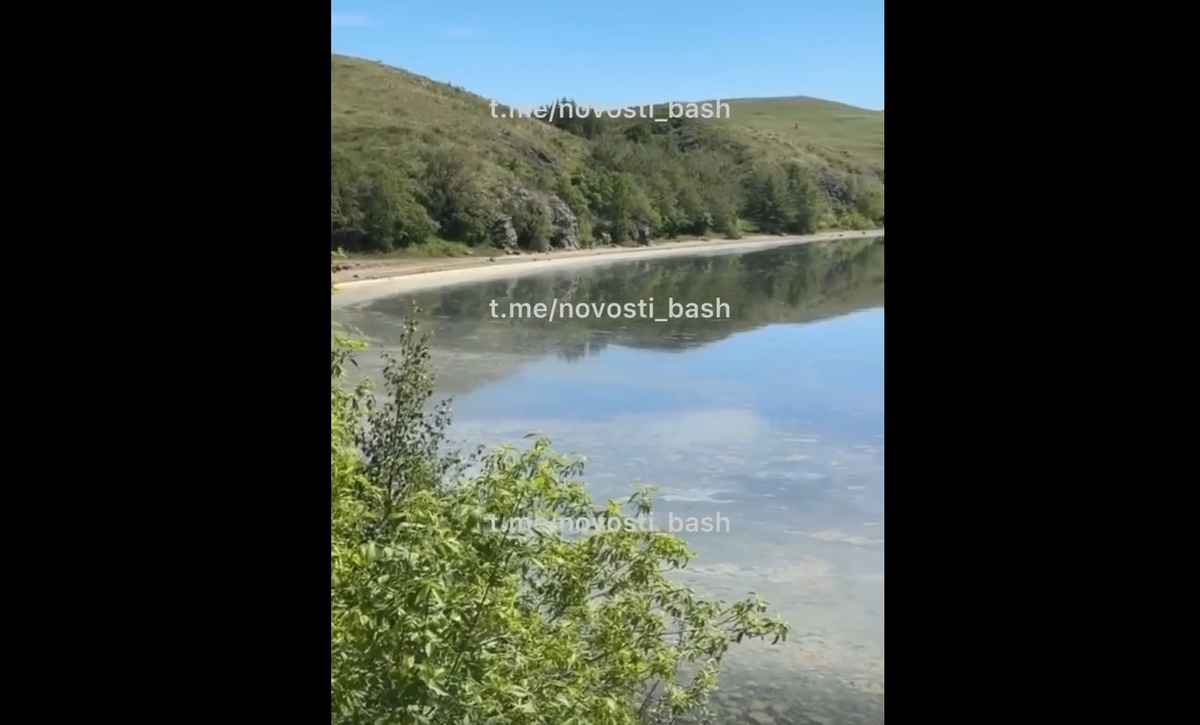    Скрин с соцсетей