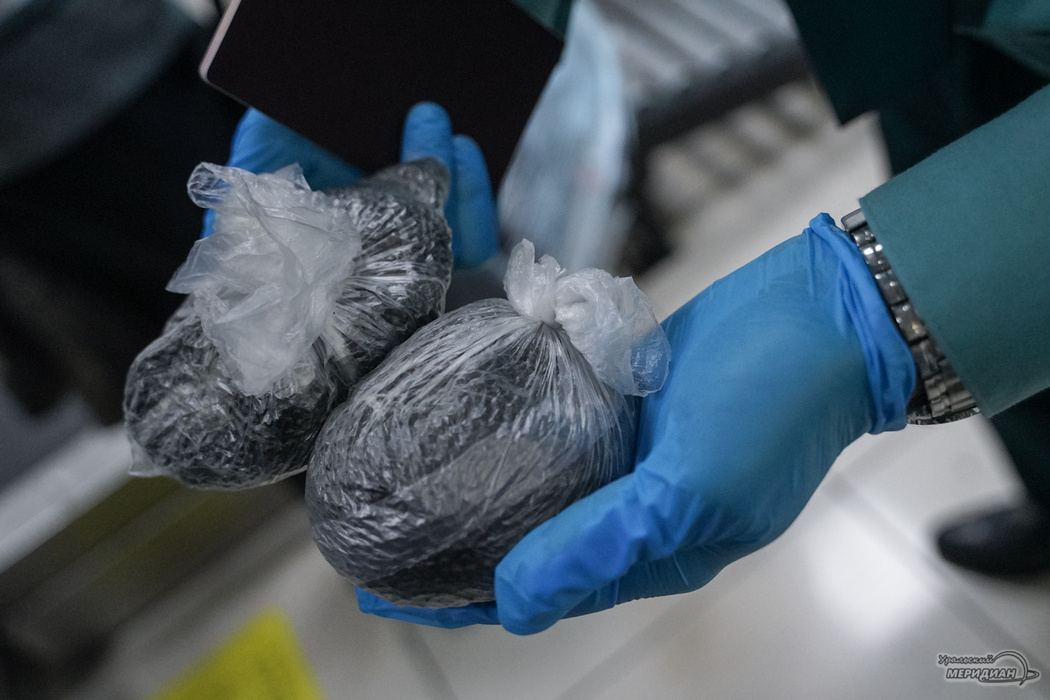    Фото: Лидия Аникина © ИА «Уральский меридиан»