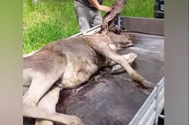    Фото: Департамент информационной политики Свердловской области