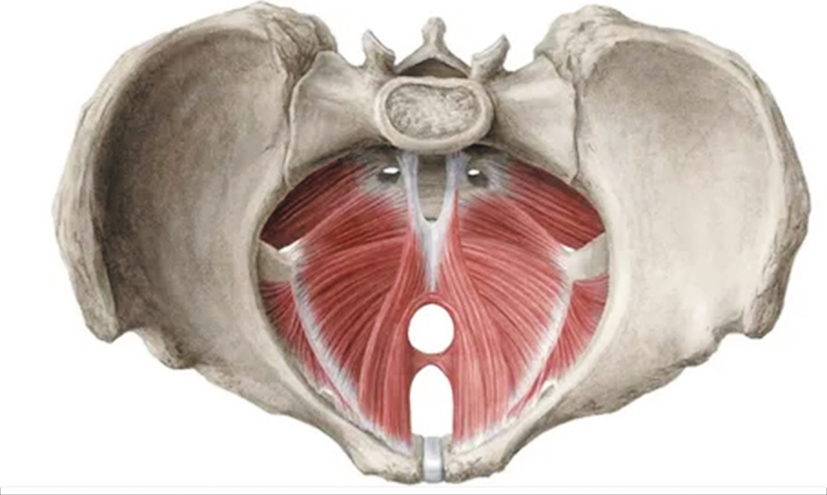 Такие внешние проявления, как двойной подбородок, нависающий животик, целлюлит (особенно у стройных людей) в значительном количестве случаев являются прямым следствием проблем с МТД