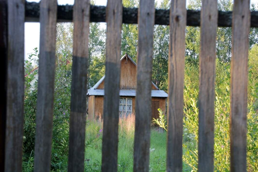 Фото: Global Look Press/Komsomolskaya Pravda