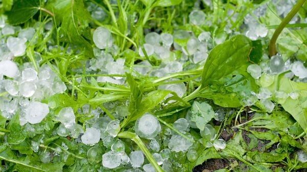    © Sputnik / Дмитрий Паршин