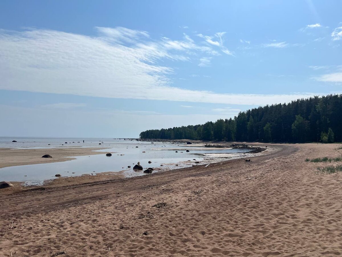 Бухта Жёлтая