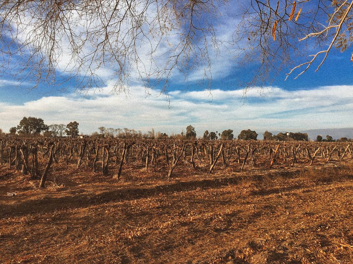 Photo by Gabriela Parra on Unsplash