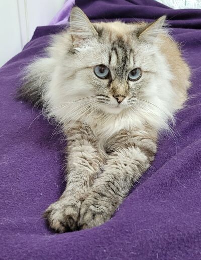 Я - Пуня. А чего добился ты?