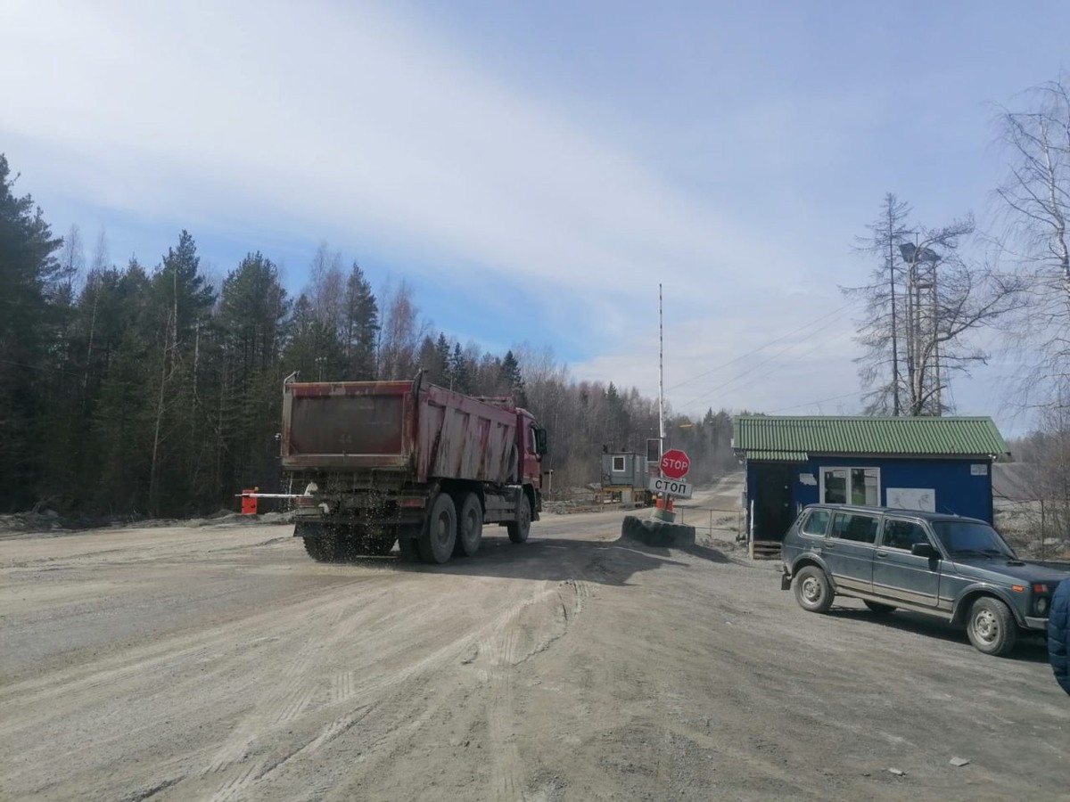    Фото: Янина Свидская