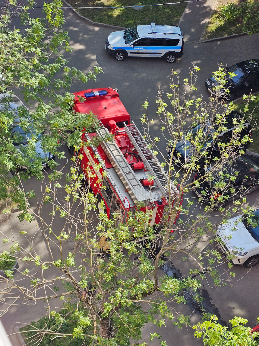 Автор фото Л.Баева