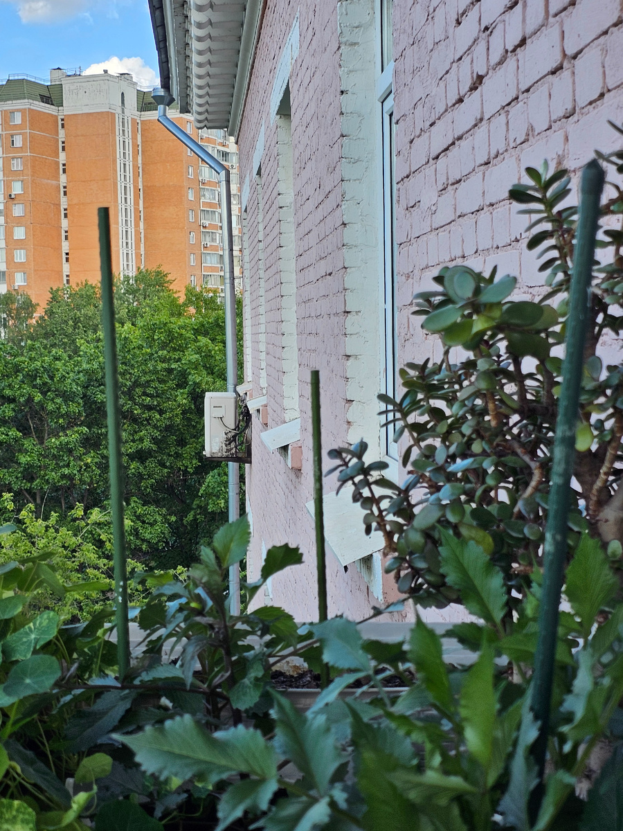 Автор фото Л.Баева