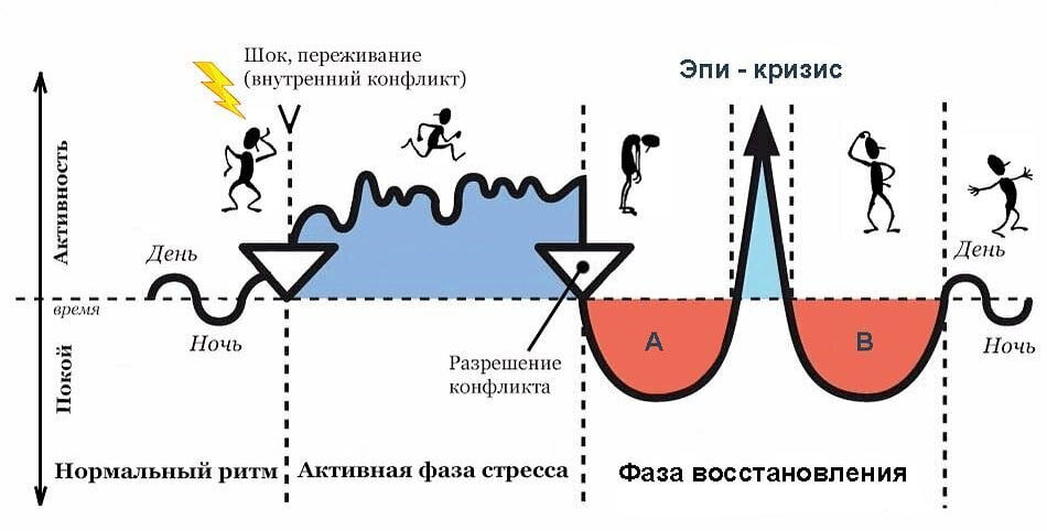 5 законов Германской Новой Медицины: как на самом деле возникают болезни
