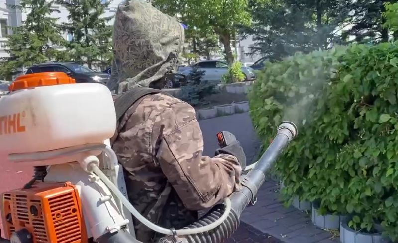 Фото: скриншот видео